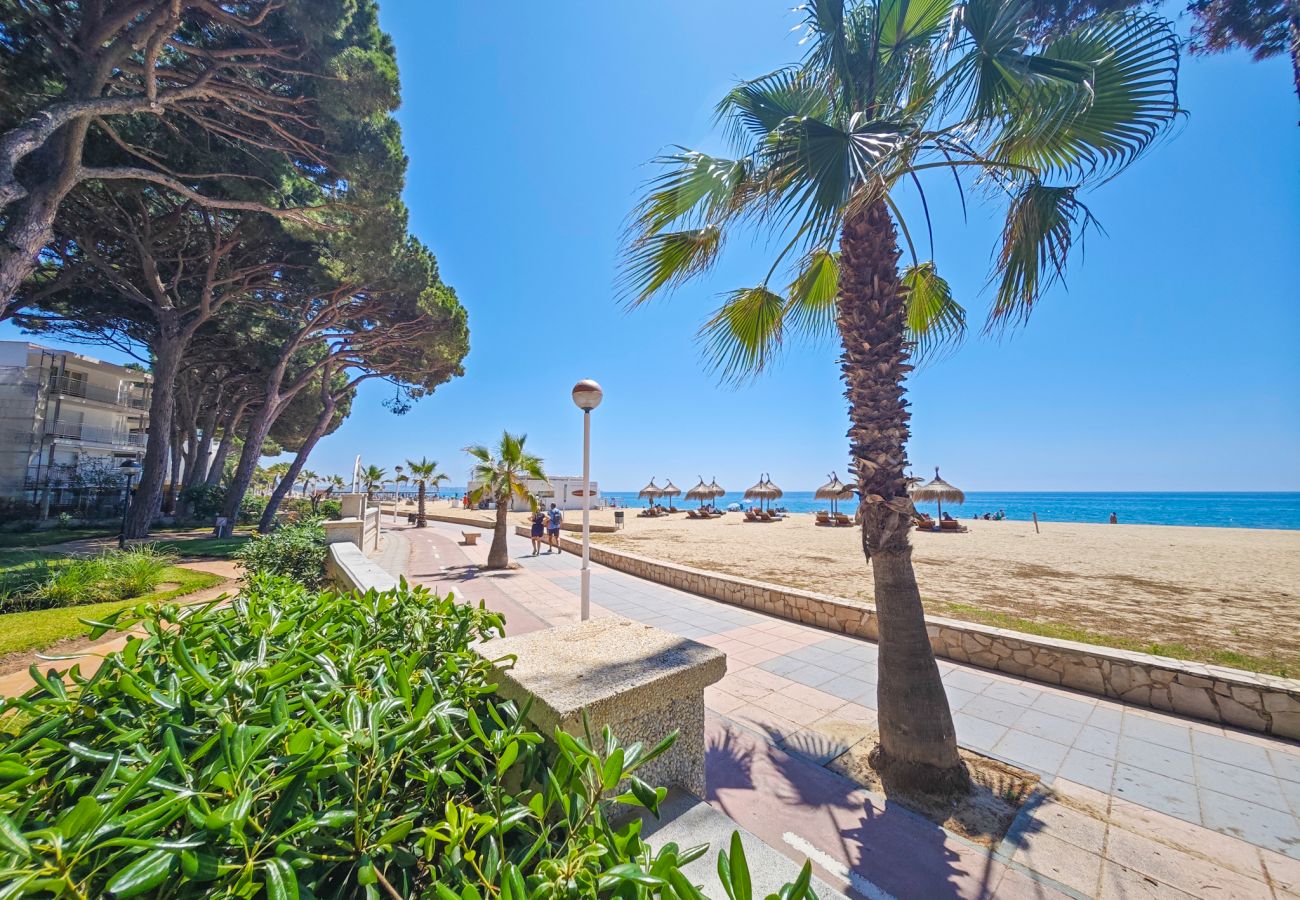 Apartamento en Cambrils - VERSALLES  Apartamento en Cambrils - VERSALLES