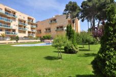 Apartamento en La Pineda - Golden Pineda