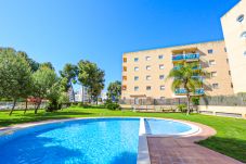 Apartamento en La Pineda - Golden Pineda