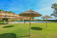 Apartamento en Miami Playa - Guardamar