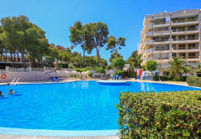 Apartamento en Salou - CATALUNYA 92 Apartamento en Salou - CATALUNYA 92