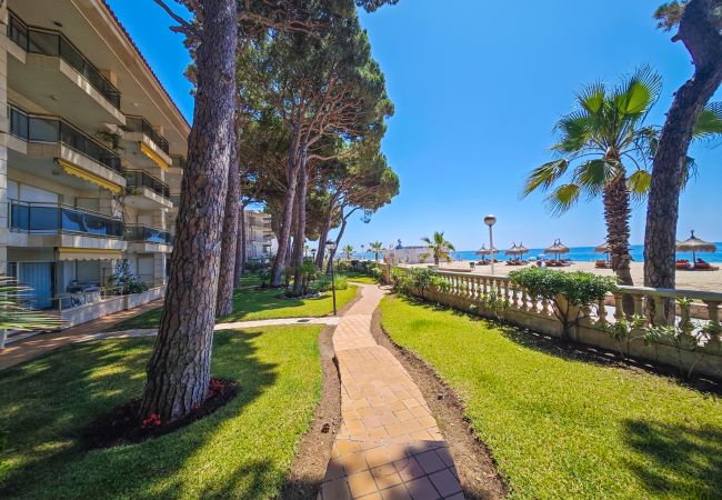 Apartment in Cambrils - VERSALLES  Apartment in Cambrils - VERSALLES