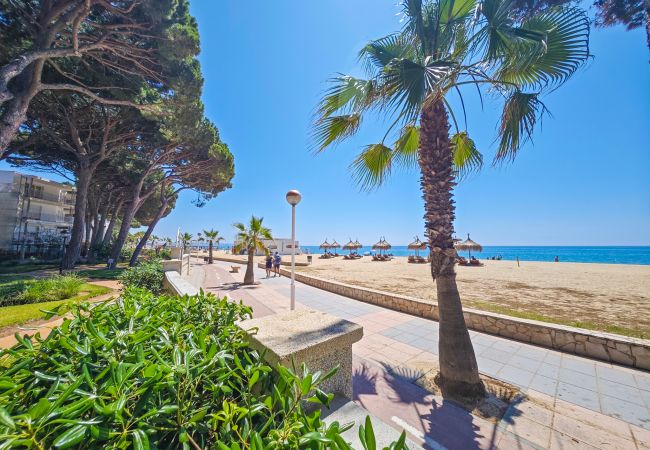 Apartment in Cambrils - VERSALLES  Apartment in Cambrils - VERSALLES