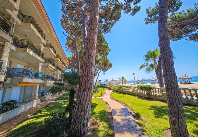 Apartment in Cambrils - VERSALLES  Apartment in Cambrils - VERSALLES