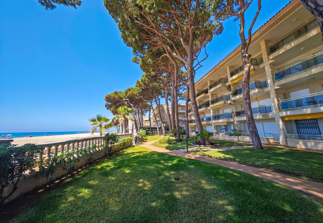 Apartment in Cambrils - VERSALLES  Apartment in Cambrils - VERSALLES
