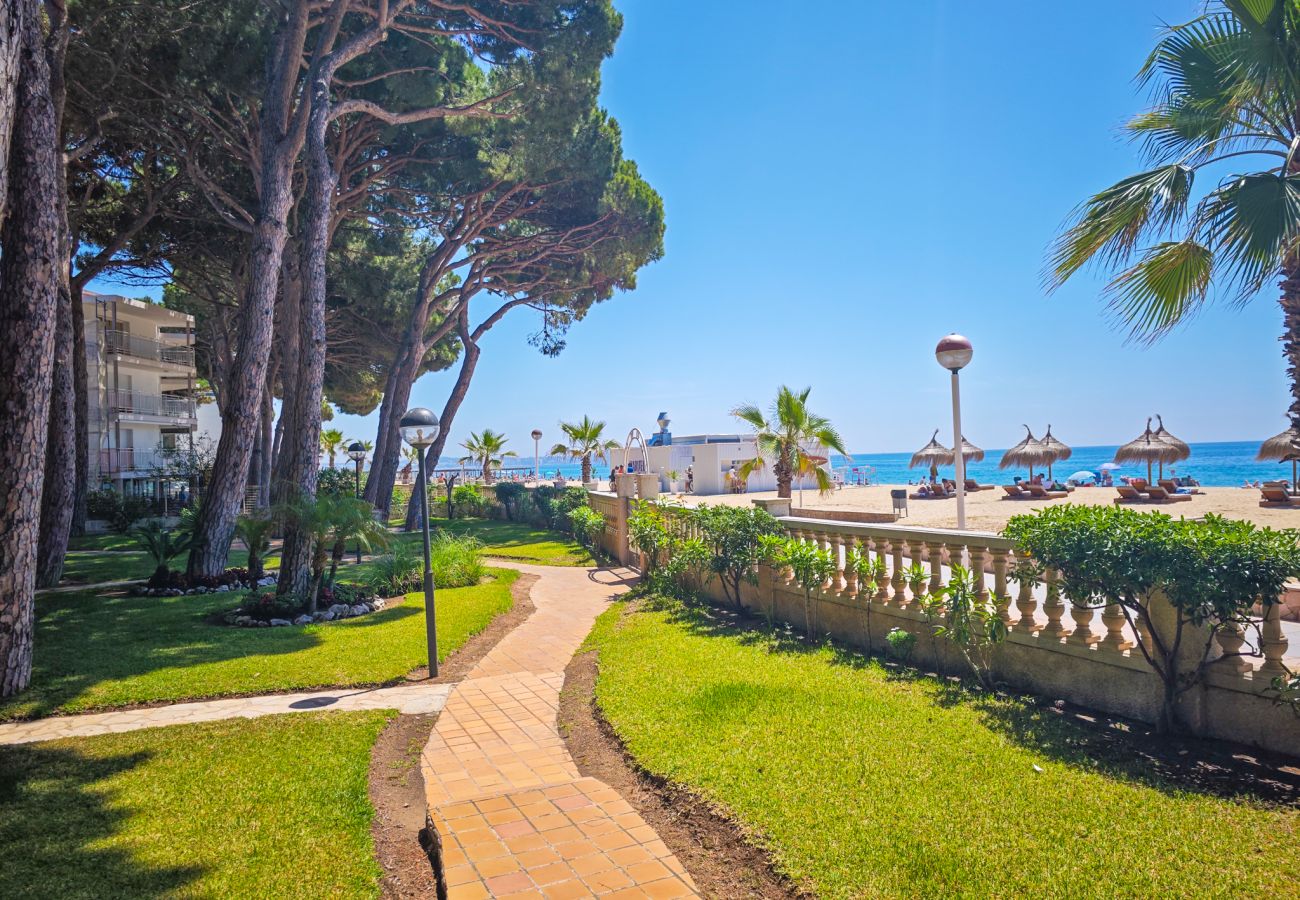 Apartment in Cambrils - VERSALLES  Apartment in Cambrils - VERSALLES